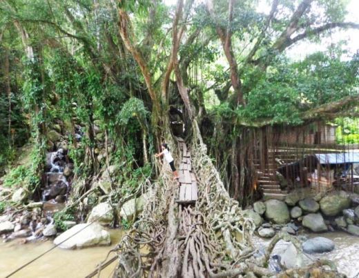 Kondisi Jembatan Akar. (Humas Pessel) Kondisi Jembatan Akar. (Humas Pessel)