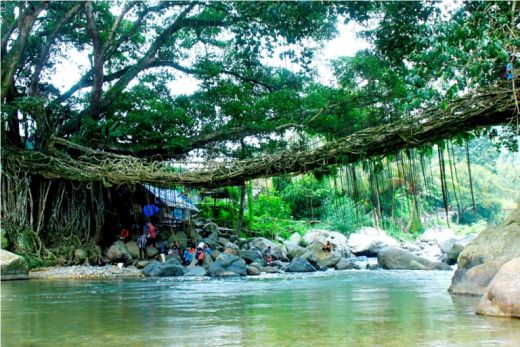 Peserta arung jeram beristirahat dibawah Jembatan Akar. (mongabay.co.id) Peserta arung jeram beristirahat dibawah Jembatan Akar. (mongabay.co.id)