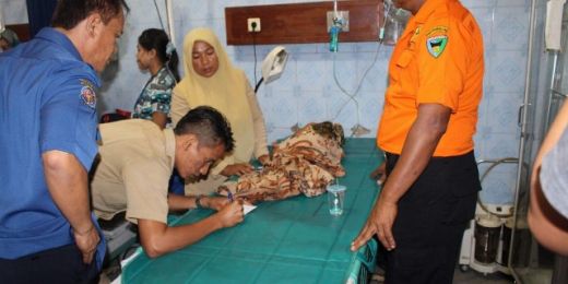 Pohon Tumbang Timpa Gedung TK di Pesisir Selatan, Tiga Murid Luka Parah Parah