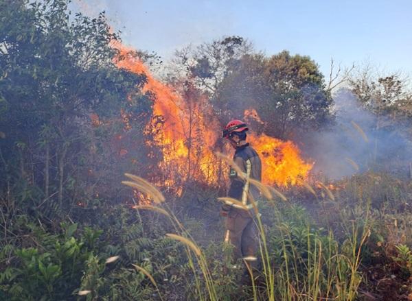 Titik Api Meluas di Tengah Cuaca Ekstrem, DPR: Jangan Tunggu Hutan Terbakar!