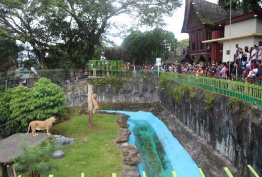 Lebaran Kedua dan Ketiga, Kebun Binatang Bukittinggi Diserbu Pengunjung