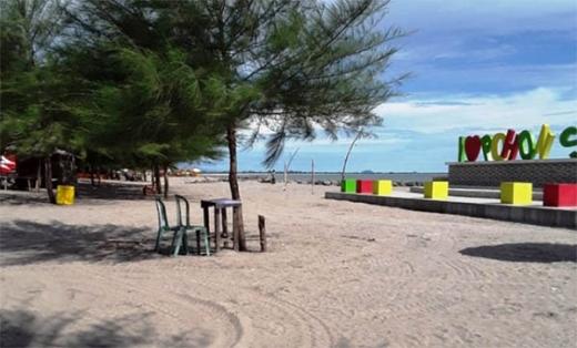 Destinasi Pohon Seribu Sasak Terfavorit di Pasaman Barat