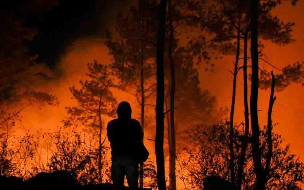 112 Orang Diduga Tersangka Karhutla, Polisi Sebut Motif Buka Lahan