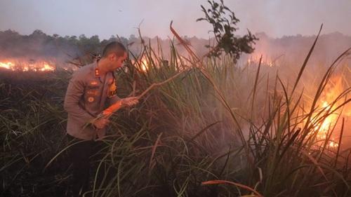Firman Soebagyo Minta Strategi Karhutla Way Kambas Diubah: Cegah, Deteksi, Bergerak Bersama