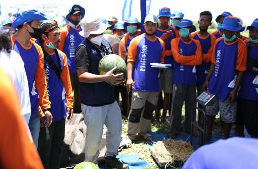 Peran Generasi Milenial dan PKT Bantu Wujudkan Pertanian Modern
