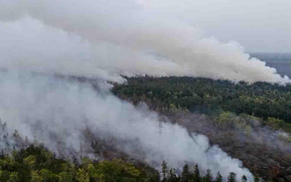 Atasi Kabut Asap, Indonesia Penuhi Kewajiban Laporan Harian ke ASEC