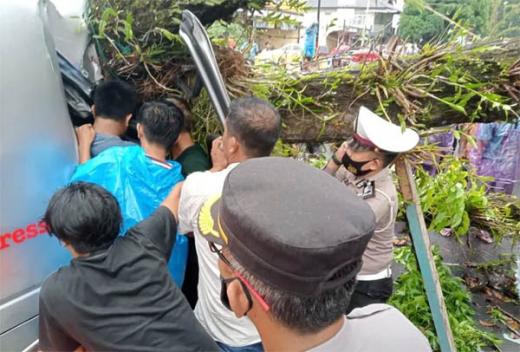 Mobil Tertimpa Pohon Mahoni di Pasaman Barat, Satu Penumpang Meninggal