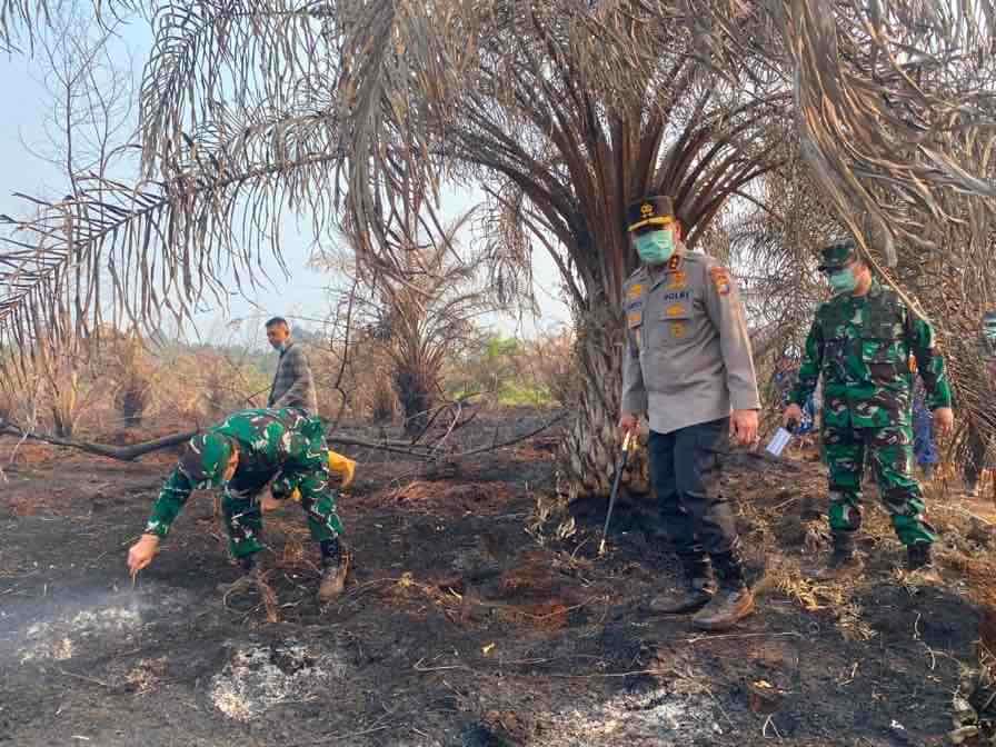 45 Laporan Kasus Karhutla Ditangani, Polda Riau Jerat 49 Tersangka