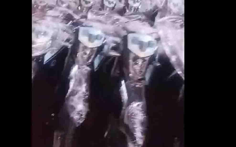 Polemik Ribuan Motor Listrik BGN yang Viral di Medsos, Pemerintah Pastikan Bukan Anggaran Tahun Ini