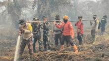 Lahan Gambut Siak Kecil Terbakar, 50 Personel Gabungan Dikerahkan ke Lokasi