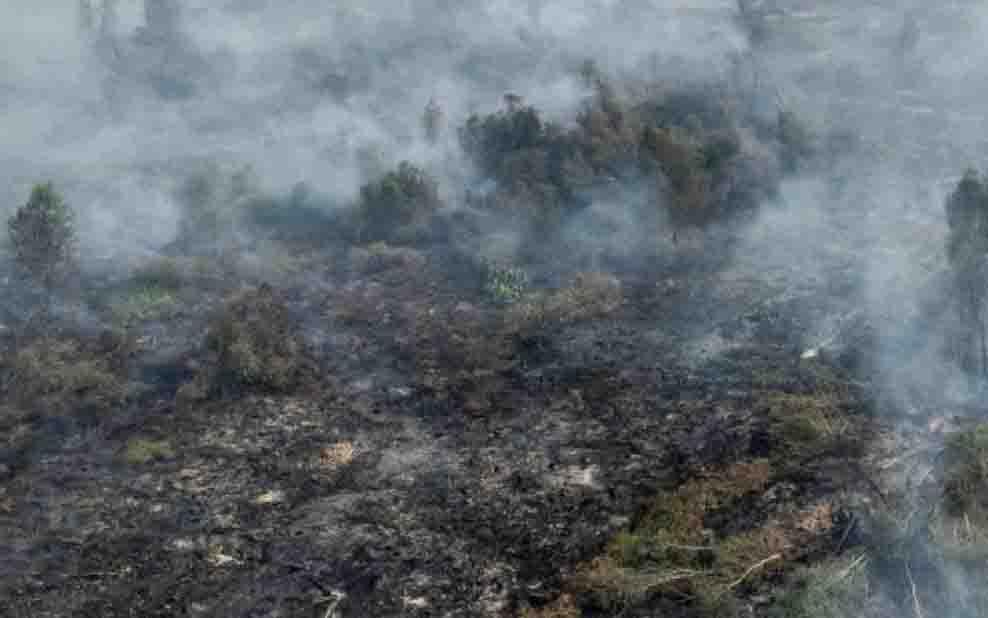 Tangani Karhutla Kalimantan dan Sumatera, Pemerintah Gelar Operasi Udara hingga Modifikasi Cuaca