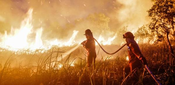 Karhutla Tak Kunjung Tuntas, Firman Soebagyo: Indonesia Butuh Lembaga Khusus