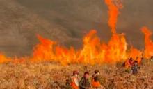 520 Hektare Kawasan Bromo Terbakar, DPR Desak Kemenhut Perkuat Pemadaman