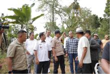 Presiden Perintahkan Pembangunan Jembatan Baru di Pasaman, Akses Medis Jadi Prioritas