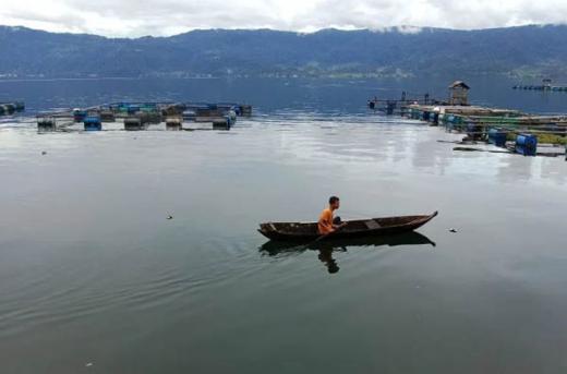 Dua Kawasan di Danau Maninjau Dijadikan Lokasi Konservasi Ikan Endemik