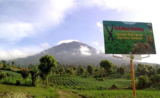Jaga Kawasan TNKS Pessel, Petugas Selalu Lakukan Patroli Hutan