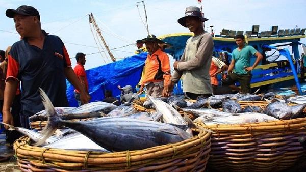 Firman Soebagyo: Koperasi Nelayan Harus Menyejahterakan, Bukan Mengabaikan Nelayan