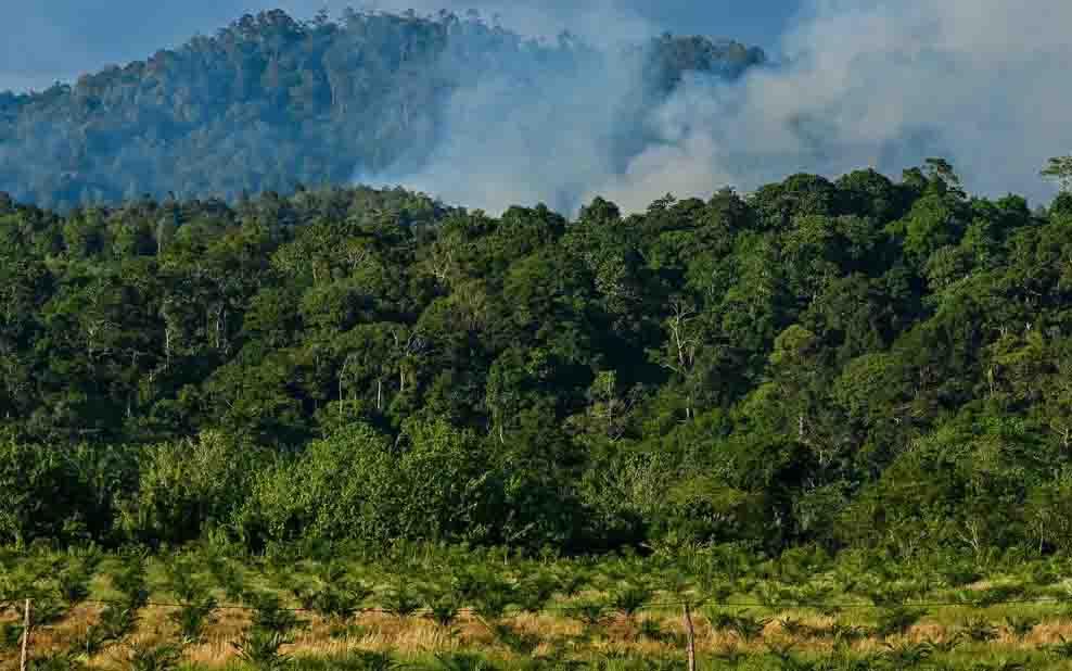 Aceh Peroleh Insentif Lingkungan Rp27 Miliar, Sekda Minta Warga Terdampak Diberdayakan
