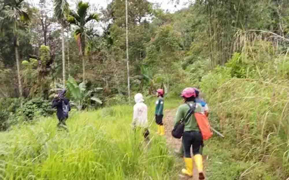 Mendadak Muncul dari Semak, Beruang Lukai Tiga Warga di Pasaman Barat