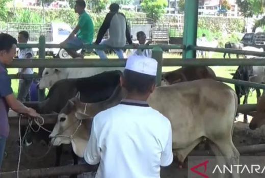 Pemkab Pasaman Antisipasi Penyebaran Penyakit Mulut Kaki Pada Hewan Ternak