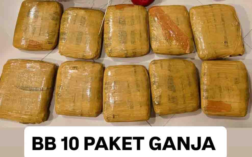 Modus Penyamaran Paket Pakaian Gagal Kelabui Polisi Lacak Ganja Asal Padang