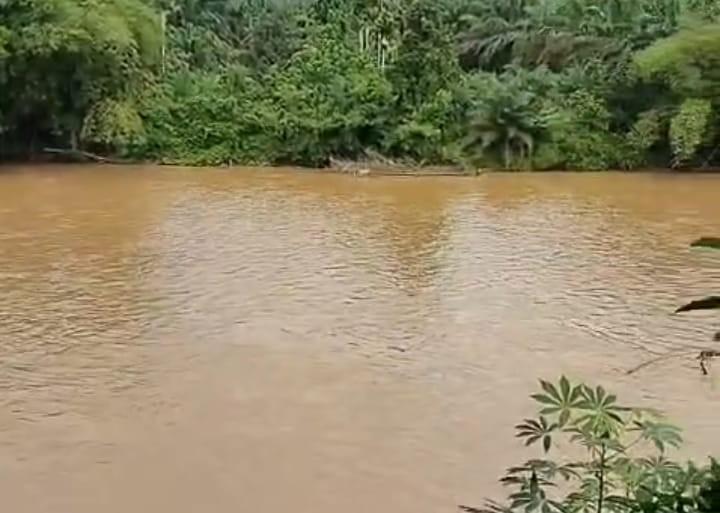 Soroti Kejahatan Ekskavator di Hutan Lindung, Walhi Sumbar Desak BPKH Lakukan Verifikasi Spasial