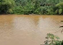 Soroti Kejahatan Ekskavator di Hutan Lindung, Walhi Sumbar Desak BPKH Lakukan Verifikasi Spasial