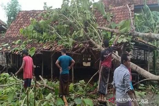 Hari Ini, Sumbar Berpotensi Dilanda Hujan Deras Disertai Petir