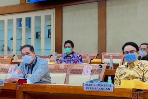 Soal Minyak Goreng, Legislator PDIP Dorong Peningkatan Produksi