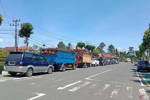 Harga TBS Sawit Turun, Petani Agam Bawa Truk ke Kantor Bupati