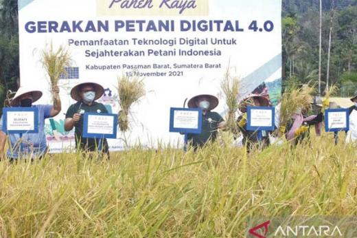 Periode Januari-April 2022, Pasaman Barat Sukses Produksi 43.011 Ton Padi