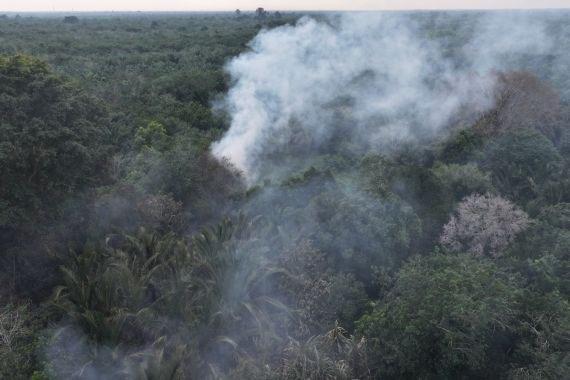 Sempat Diingatkan Warga Sekitar, Pria 79 Tahun Nekat Bakar Lahan Sagu
