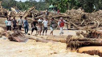 Diduga Picu Banjir Bandang, Puluhan Izin Hutan di Aceh dan Sumbar Diperiksa