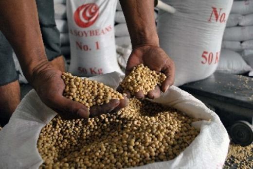 Imbas Harga Kedelai Naik, Pemerintah harus Berikan Insentif Fiskal Bagi Perajin Tahu dan Tempe