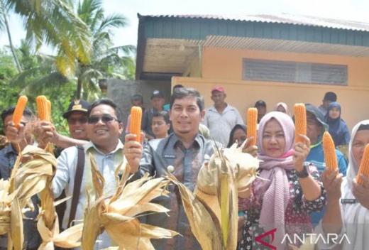 Pemkot Sawahlunto Beri Bantuan Bibit dan Alsintan kepada Petani Jagung