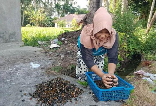 Pasca Lebaran, Hasil Tangkapan Pensi di Agam Meningkat