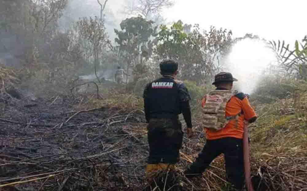 Karhutla Meluas di Sumbar, Dua Kabupaten Sudah Tanggap Darurat