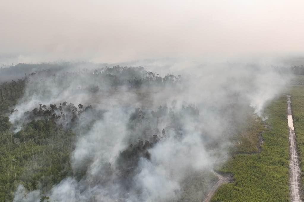 Anggota DPR Soroti Data Titik Panas BNPB: Harus Ditangani dalam Hitungan Jam