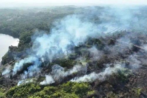 Kalimantan Catat Ribuan Titik Panas, Belasan Korporasi Diduga Terlibat Karhutla
