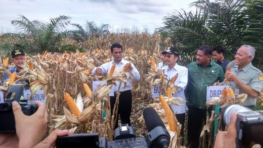 Canangkan Tanam Jagung 1 Juta Hektar, Mentan RI: Aparat Hukum Diminta Menangkap Penjual Bibit Palsu dan Pupuk Oplosan