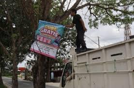 Selamatkan Pohon Peneduh Jalan, Bapenda Pekanbaru Copot Paksa Ratusan Spanduk Ilegal