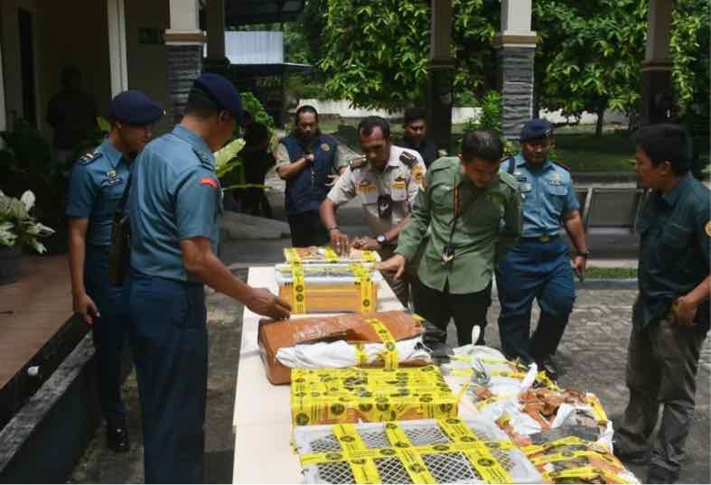 Aroma Busir di Balik Mobil Box: 445 Kulit Piton dan Kura-Kura Afrika Gagal Menyeberang ke Jawa