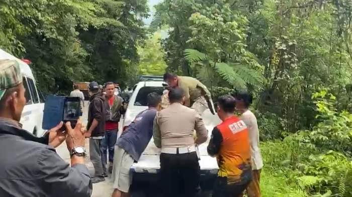 Jalan Longsor Jadi Pemicu, Pikap Terjun ke Jurang di Perbatasan Jambi-Sumbar